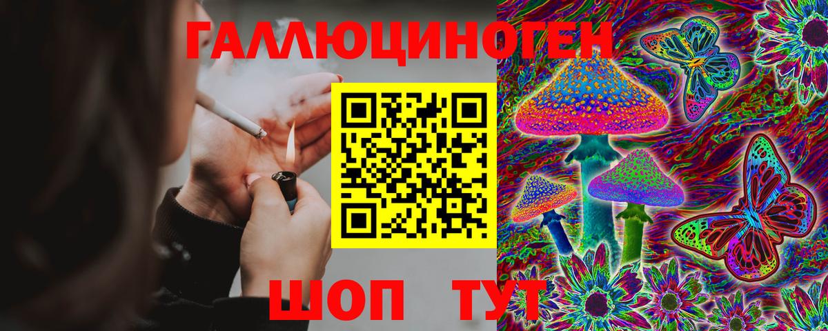 Камышин  Галлюциногенные грибы Cubensis  Галлюциногенные грибы MAGIC MUSHROOMS  Вход с VPN 