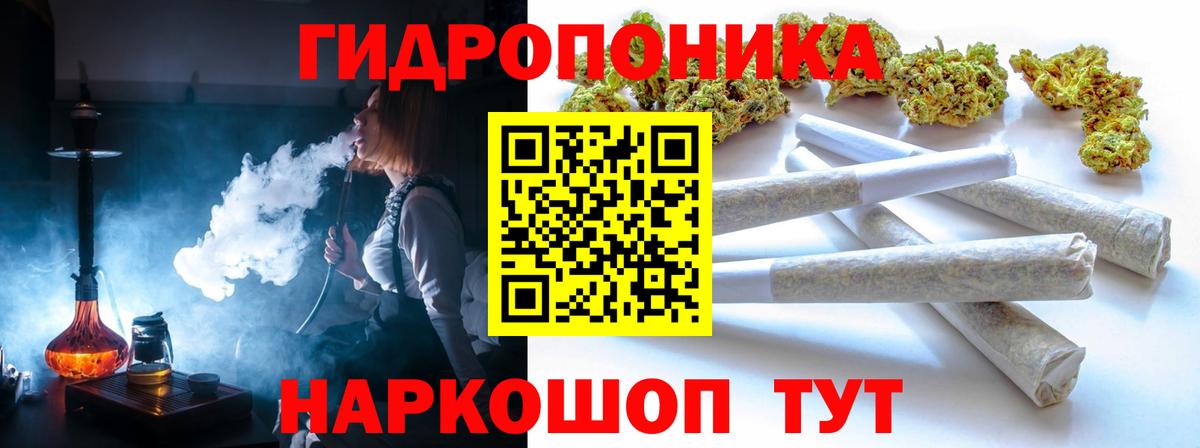 APVP Камышин